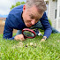 X8gvldKIvd4-channel-avatar-Erbert Lawns Lawn Care Education Channel Colorado