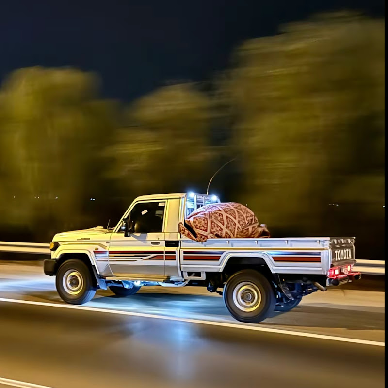 ابراهيم النسي