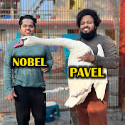 Pavel & Nobel Mini Zoo