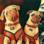 ManiPistachePugs logo