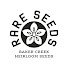 xDpsyQOkTTg-channel-avatar-RareSeeds
