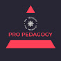 Pro Pedagogy Classes logo