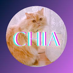 Chia Tarot Diaries channel logo