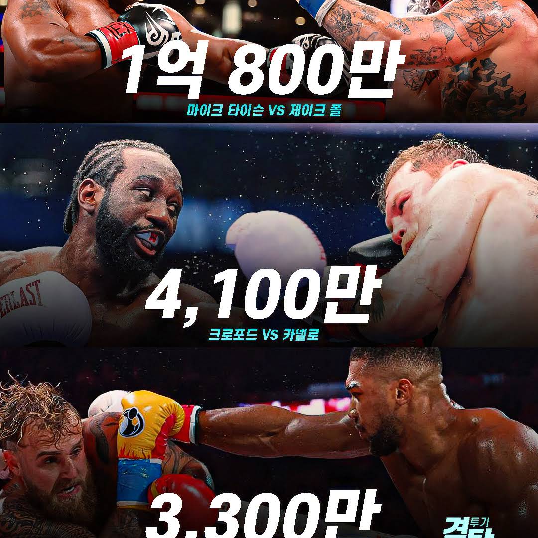 Post from 격투기탐구생활 Champion Life
