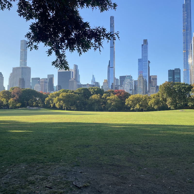 The Wandering New Yorker