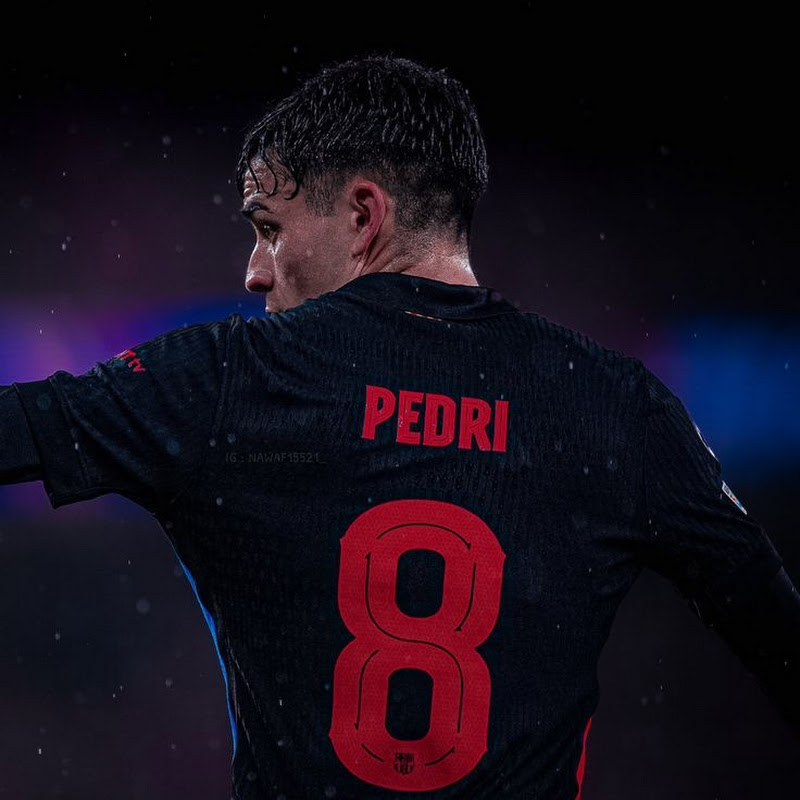 Hire Ⴆҽɳƙαι — Sports & Outdoors YouTube creator for sponsorships