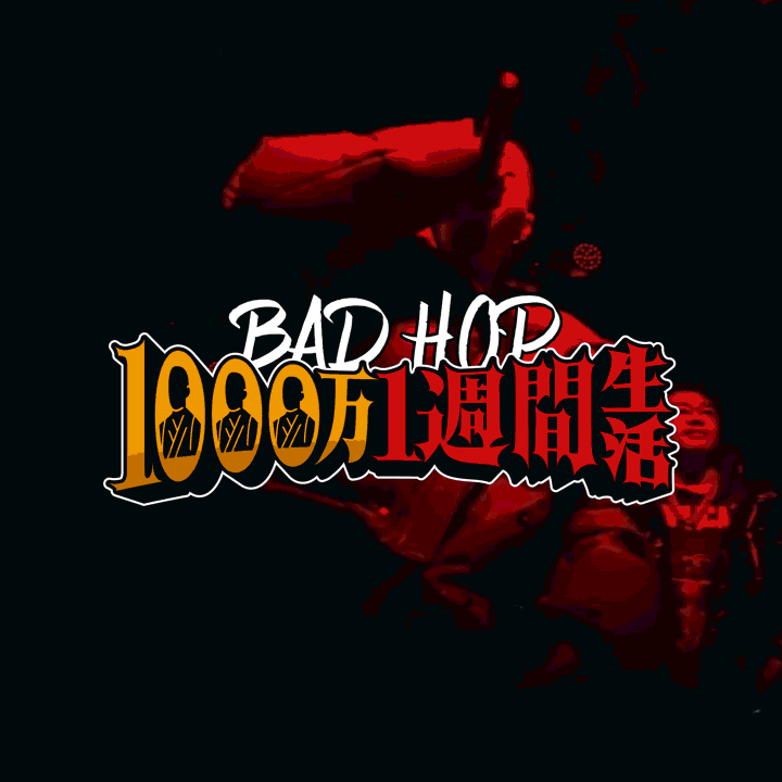 【期間限定値下げ！】BAD HOP adidas Zx (Negative - 25th Anniversary Pack) - Releases