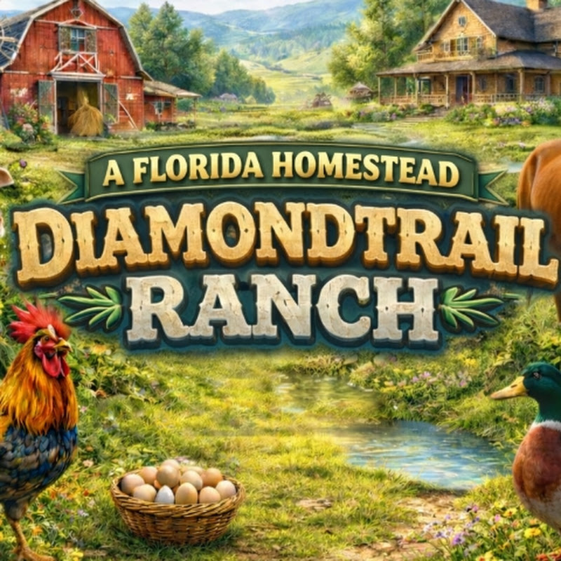 DiamondTrail Ranch