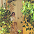 u77qchK3oMk-channel-avatar-Stacy︱mypetitegarden 