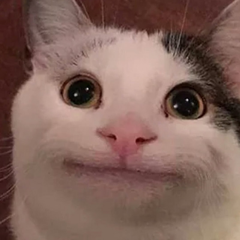 Cattyie