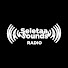 n71eQm5HT7w-channel-avatar-Seletaa Sounds