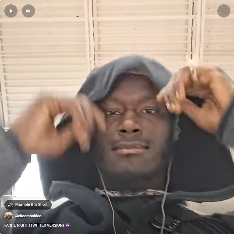 DEE GALLERY 🐦‍⬛