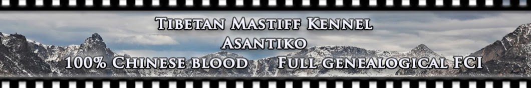 Asantiko YouTube channel avatar