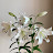 @mashitta5969