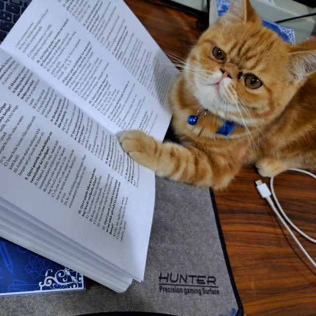 Erkak ayollarning külotlarini kiyib oladi