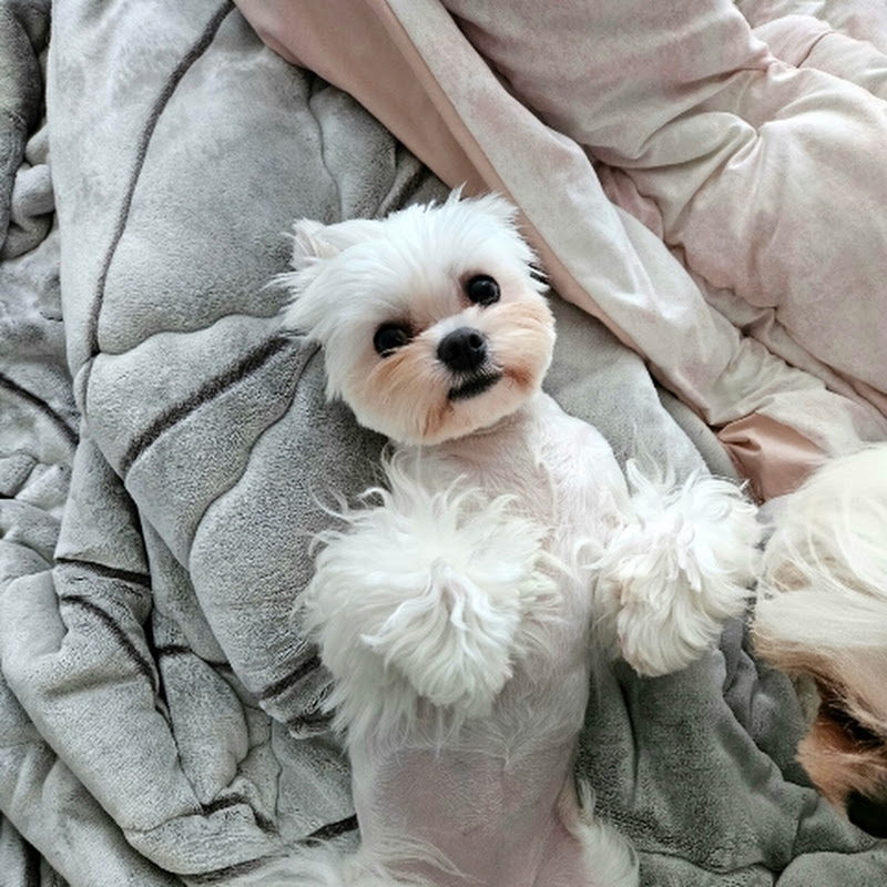 어느 소상공인의 일기