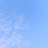 @Daydream-q2v