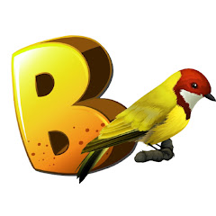 Birds Mentor avatar