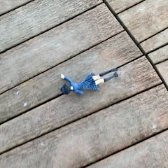 みーとからーず