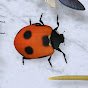 Pet Games Official Avatar
