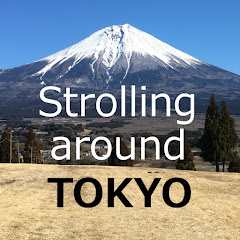 Strolling around TOKYO net worth