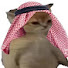 tI-lOiY9fqs-channel-avatar-Guap