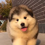 Lukas