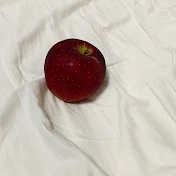 真白 is everywhere.