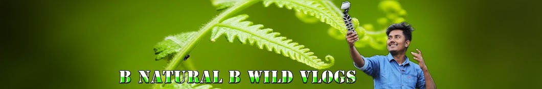 B NATURAL B WILD VLOGS YouTube channel avatar