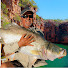 _W5lq5UjQYU-channel-avatar-SNAGABARRA