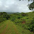 konkan Agriculture