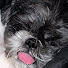 xIOmMq9kZZI-channel-avatar-Nico
