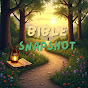 Bible Snapshot logo