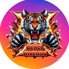 owehso 