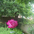 q1mO9Ph0HvY-channel-avatar-NATURE AND PLACES THROUGHOUT TIME .. UK