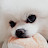 @jin-gk1rq