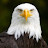 @jameshenz1780's avatar