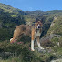 xA-Zf2mRZyI-channel-avatar-Pippin's Adventures