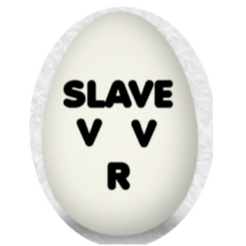 SLAVE.V-V-R