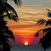 sunsetvibes