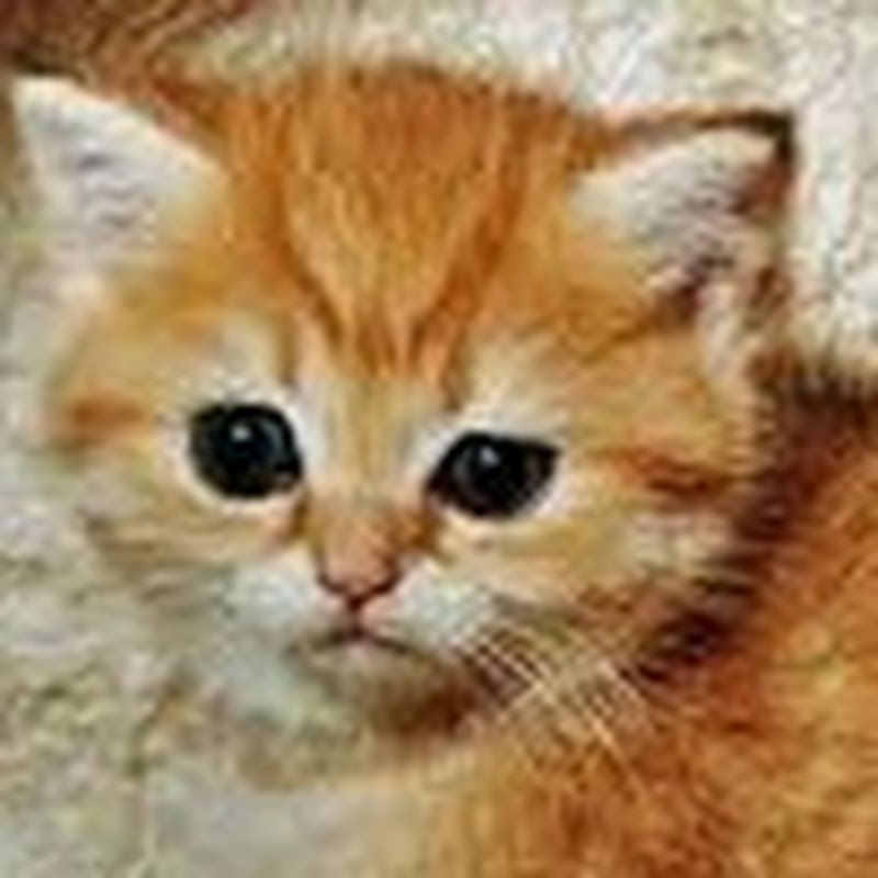 Bloodkat