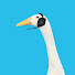 yvxpIdTz_Ag-channel-avatar-FishDucky