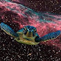 in a turtle's dream thumbnail