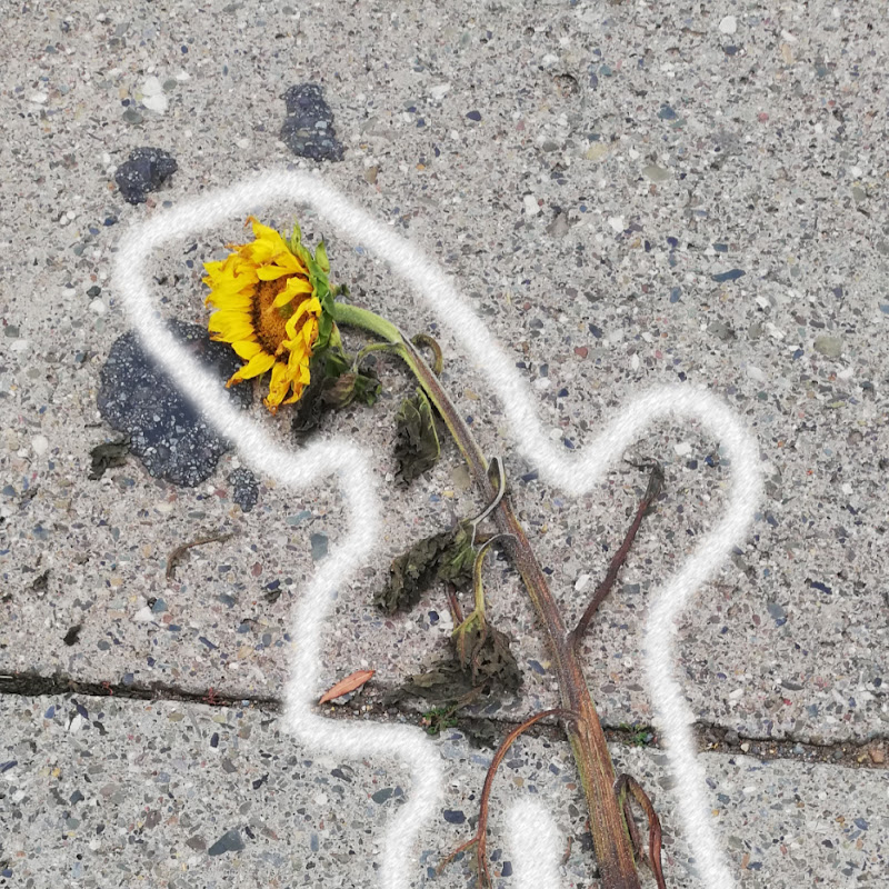 PlantsAreDead