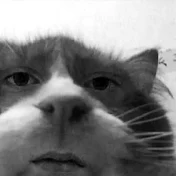 𝕯𝖔𝖔𝖉𝖘𝖊𝖓𝖌𝖊𝖑