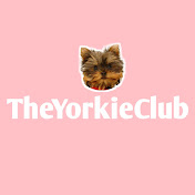 The Yorkie Club
