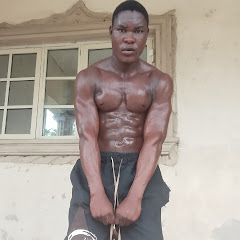 Vinceo Gyms