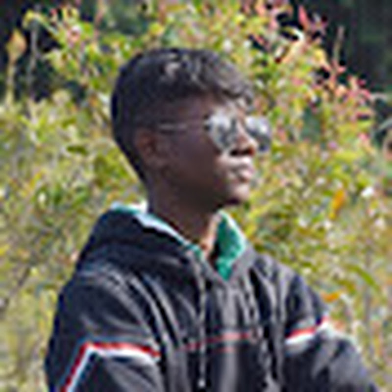 Hire Sujit lakra_007 — Digital Art (NFTs, Generative Art) YouTube creator for sponsorships