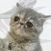 ほこり