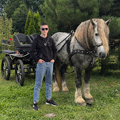 Коні наші коні